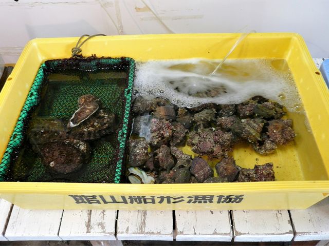 yƃTUG_َRD`Ƌgcӂꂠs