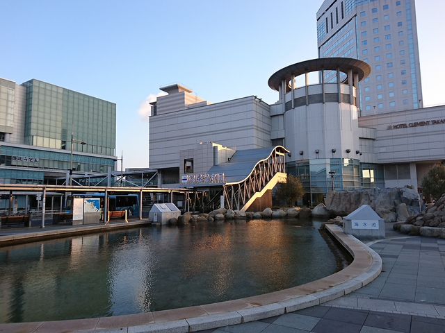 �w�O�ɂ���C���̃v�[���ł��B_�T���|�[�g����