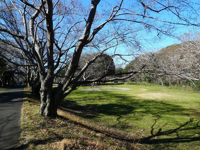 �^�����n_��[�����R����