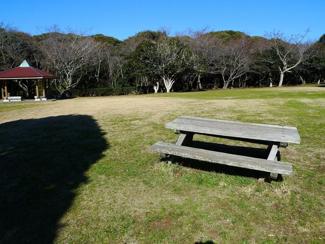 ���Ő����n_��[�����R����