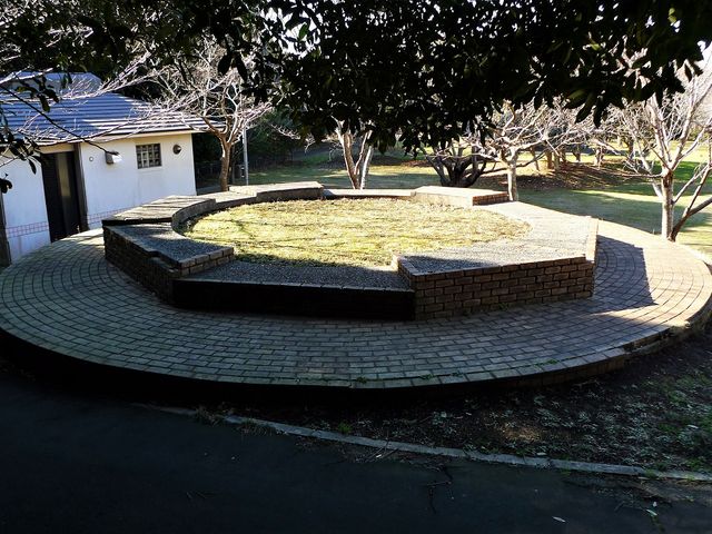 �C����_��[��
