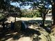 トクサンさんの大房岬自然公園キャンプ場の投稿写真5
