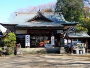 gNT̎q̐_单V̓eʐ^1