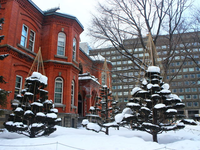 ���g���Ȓ���_�k�C�������{����(�Ԃ�񂪒���)