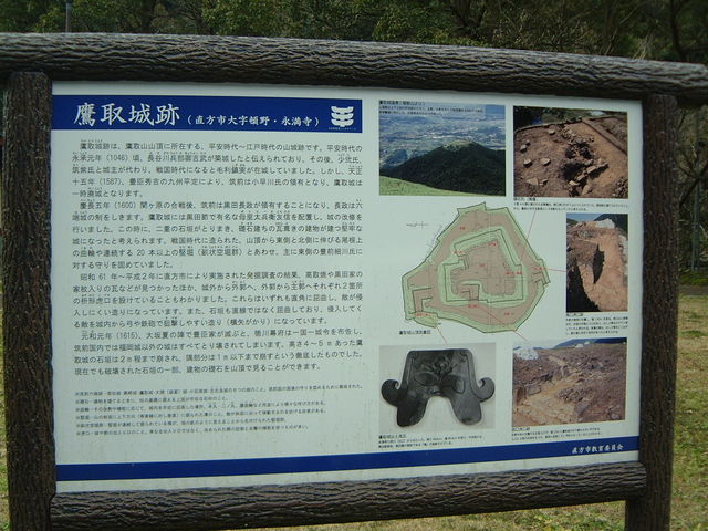 �Ԃ���񂳂�̑���Ղ̓��e�ʐ^1