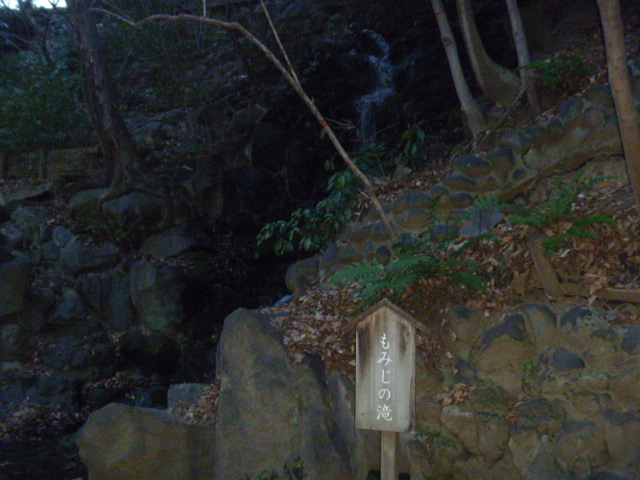 ���݂��̑�_�Ō������݂��J