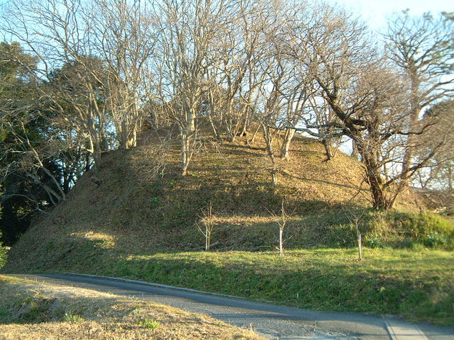 Ԃ񂳂̐VˌÕ̓eʐ^1