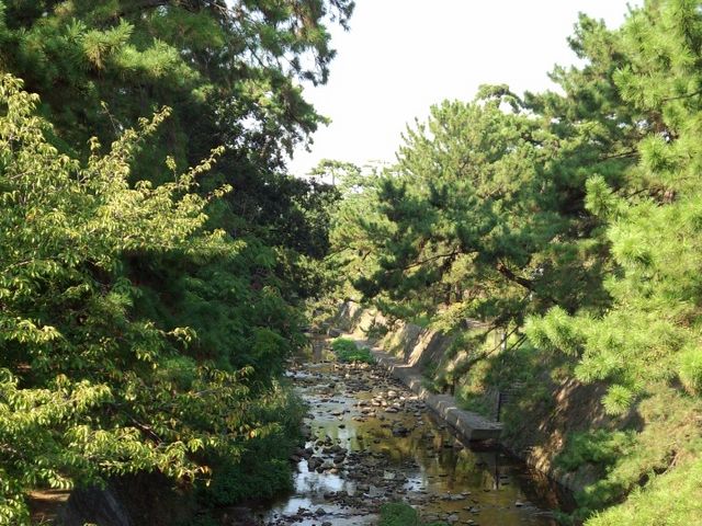 ����_�g��͐�~�Βn�i�g������j