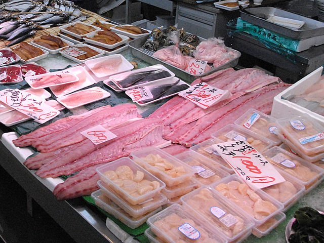 �z�^�e�����������`_�a���s��