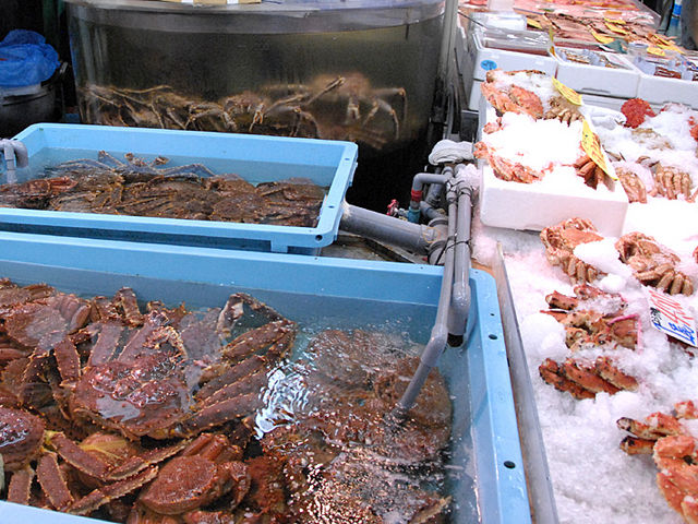 �����ɂ��J�j����������_�a���s��