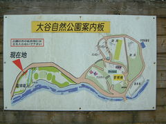 �Ԃ���񂳂�̑�J���R�����ւ̓��e�ʐ^1