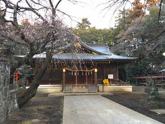 アムラックスさんの北野天神社（埼玉県所沢市）への投稿写真1