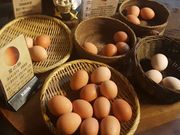 ͂͂͂邳̊OY_̓eʐ^1