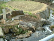 Ԃ񂳂̏ږiƂ́jnEn̓eʐ^1