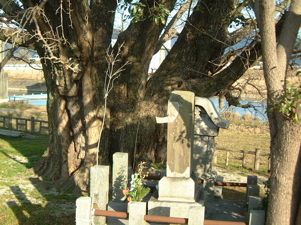 福岡の動物園 植物園ランキングtop10 5ページ目 じゃらんnet