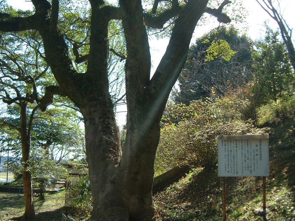 筑前植木駅周辺の動物園 植物園ランキングtop10 じゃらんnet