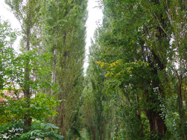 �|�v������_�k��|�v������