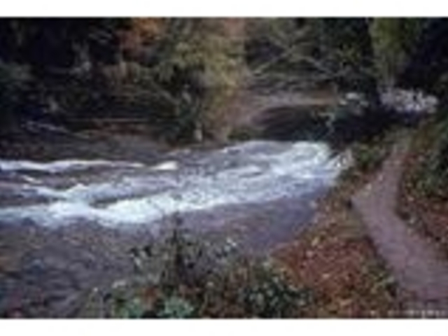 ���R�L��_�{�V�k�J