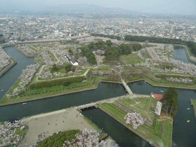 �W�]�䂩��̎ʐ^�ł����A���̎����ł����肩�Ȃ荬�G���Ă��܂����B_�ܗŊs����