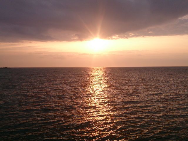 �m�V���b�v���B�[���B_�m�V���b�v��