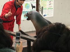 ̂񂿂񂳂̐EW ANAggӂւ̓eʐ^1