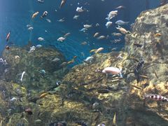 ̂񂿂񂳂̐EW ANAggӂւ̓eʐ^2