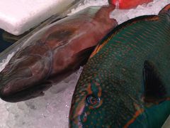 �J�R����̑��q�u���ݎs��ւ̓��e�ʐ^1