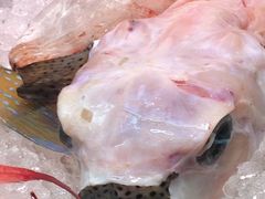 �Ё[���񂳂�̑��q�u���ݎs��ւ̓��e�ʐ^1