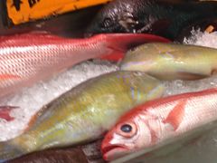 ��������̑��q�u���ݎs��ւ̓��e�ʐ^1