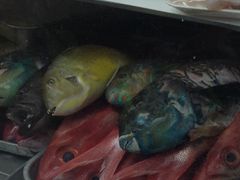 ��������̑��q�u���ݎs��ւ̓��e�ʐ^1