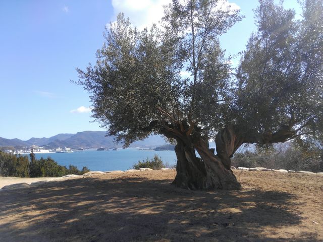 ʉ_̐NI[ueXuÑI[v̓eʐ^1