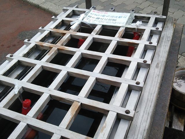 䂫񂳂̏WF[gJtFChaya̓eʐ^1