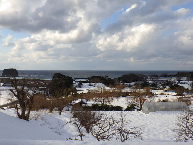 ���r�[����̒��]�i���C����͂���ɊC���߂���������B�j_�F�쉷��悵��̗�