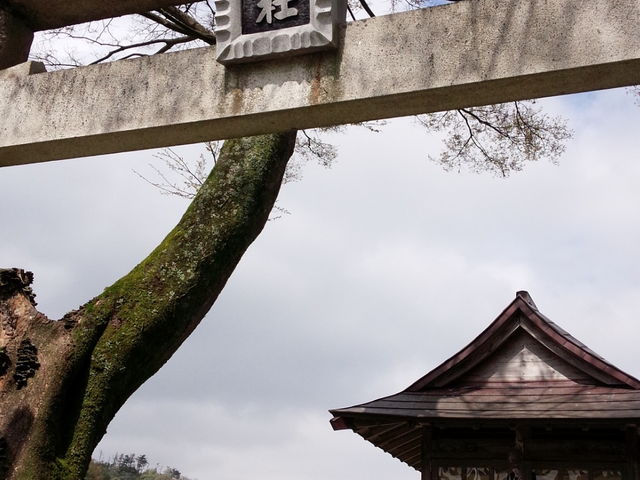 �߂��ɂ͔��e�_�Ђ�(��)_�Ղ���Ƃ҂��E�₸