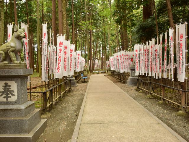 ��ϒ˂ւ̎Q��_�L����