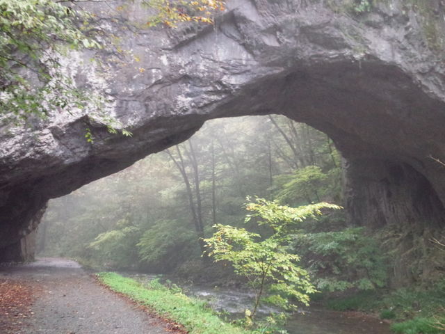 �V�R�̃g���l��_��ߋ�