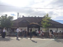 ʂʂ̋Muwi܃~[WA jւ̓eʐ^1