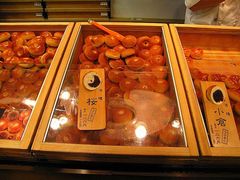 ꂢ񂳂̖ؑ`{X{Xւ̓eʐ^1