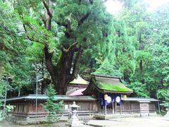 モリイズミさんの若狭姫神社への投稿写真1