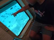 񂳂̃}r[[Ȃ񂲂̓eʐ^1