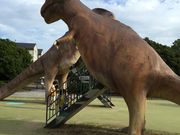 youmamȃ卂Βn̓eʐ^1