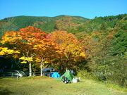 }R̐_VLvE}Xނ̓eʐ^1