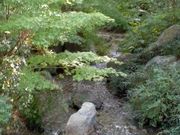 X}Ĉт킱i][j̓eʐ^1