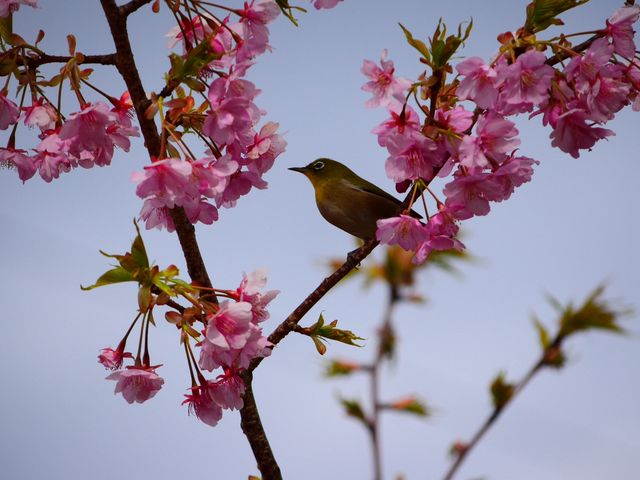 ���W������!�v�킸�ς����_�͒Í��܂�