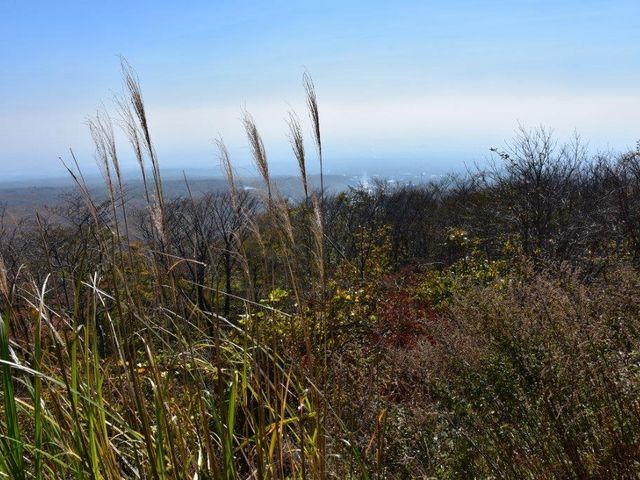 �ߐ{�����W�]�䂩��̒���_�ߐ{�����W�]�� ���l�̐��n