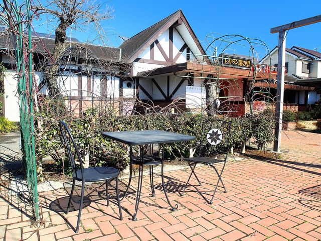 5525̌I̗[YK[f̓eʐ^1