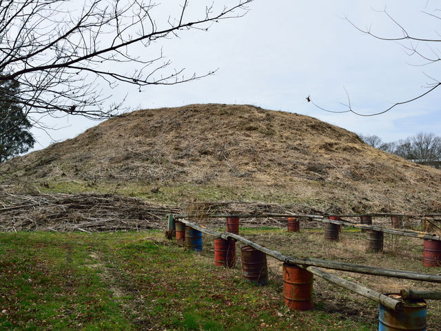 ���R�Õ�_���R�Õ�