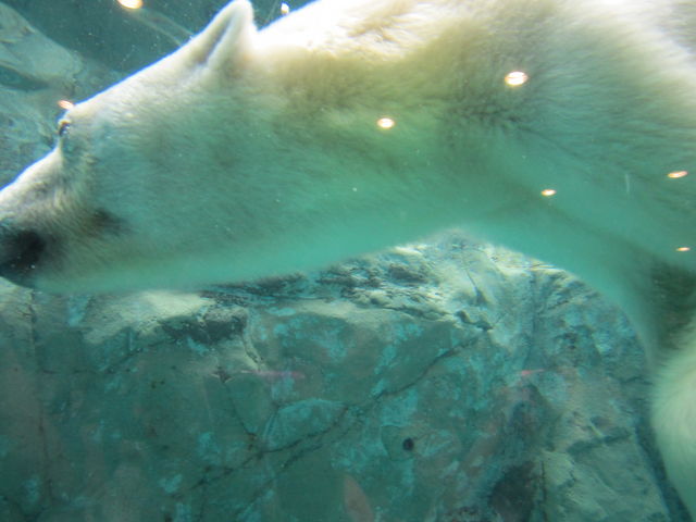 ���낭��_���R������