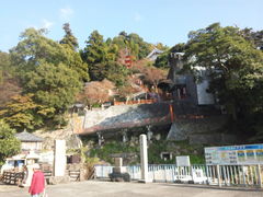 ܂䂫̒|N[Y(Í`/i΋DD)ւ̓eʐ^1