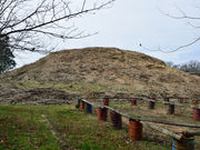 �䂸���҂���̐��R�Õ��̓��e�ʐ^1